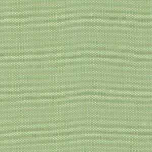 0343 Petrol