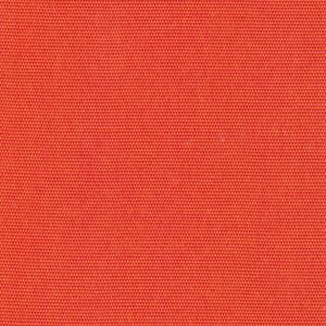 0343 Petrol